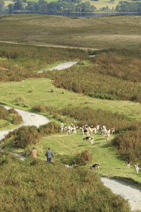 Hunting on the Coniston Fells by Betty Fold Gallery